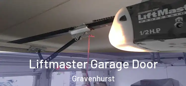 Liftmaster Garage Door Gravenhurst